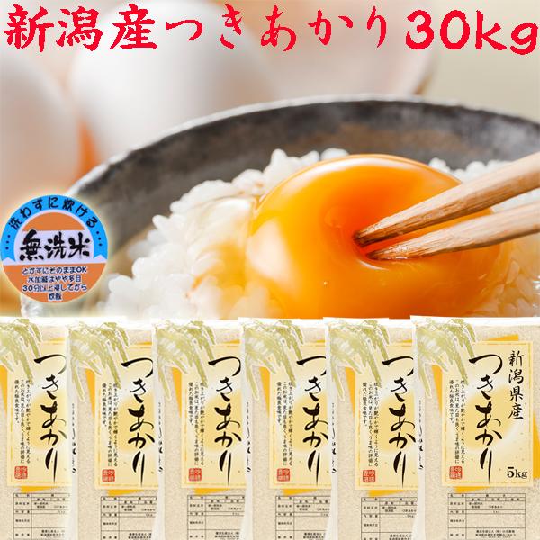 米 令和6年 新潟県産 つきあかり 無洗米 30kg 送料無料 5kg×6袋 米 令和6年 新潟県産 つきあかり 無洗米 30kg 送料無料 5kg×6袋