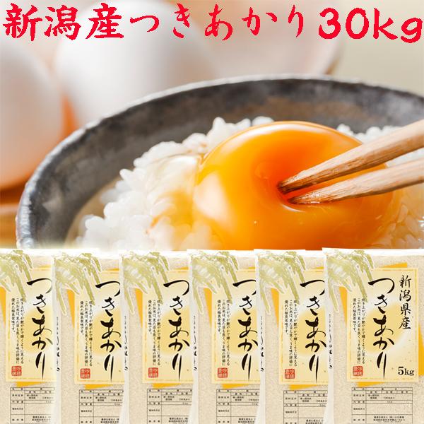 米 30kg 送料無料 令和6年 新潟産つきあかり 白米 5kg×6袋 30 米 30kg 送料無料 令和6年 新潟産つきあかり 白米 5kg×6袋 30