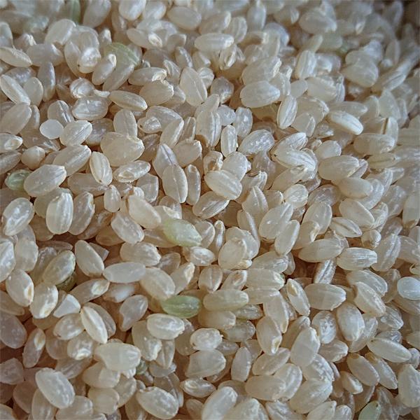 3分づき 米 令和7年 新潟県産 つきあかり 5kg 胚芽米 分づき精米 お米