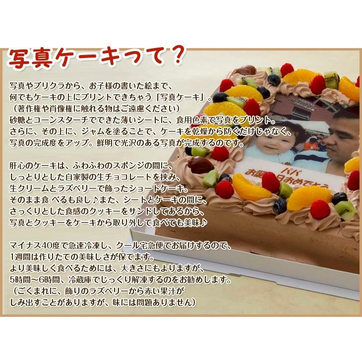 写真ケーキ 四角 6号 生クリーム 冷凍 到着後は冷蔵庫で3 4時間保管解凍 誕生日ケーキ あすつく 土日祝出荷ok 18 18cm 1036 写真 ケーキのコシジ洋菓子店 通販 Yahoo ショッピング