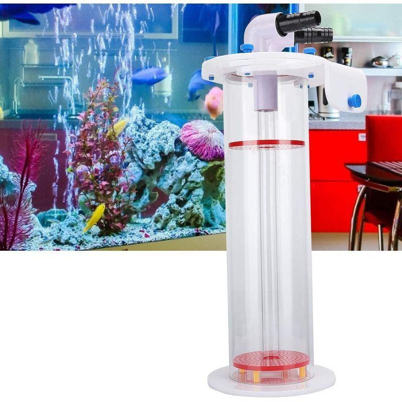 5年保証 透明な2 2lバイオbeanリアクターフィルター アクリルnp Beanフィルター 水族館用の丈夫な耐久性のある水槽 フィルター ポンプ ろ材 Www Diresatumbes Gob Pe