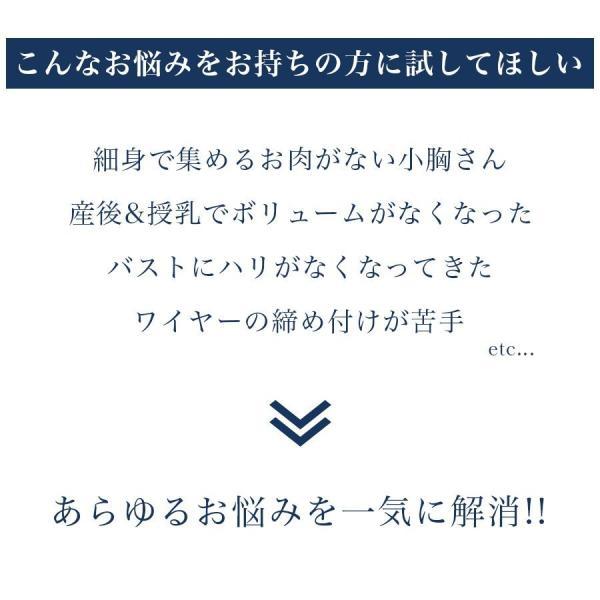 【半額クーポンで1,490円!】【レビューを書いて半額クーポン】ノンワイヤー ブラジャー ショーツ セット 育乳 小胸 谷間 脇高｜kostore｜02