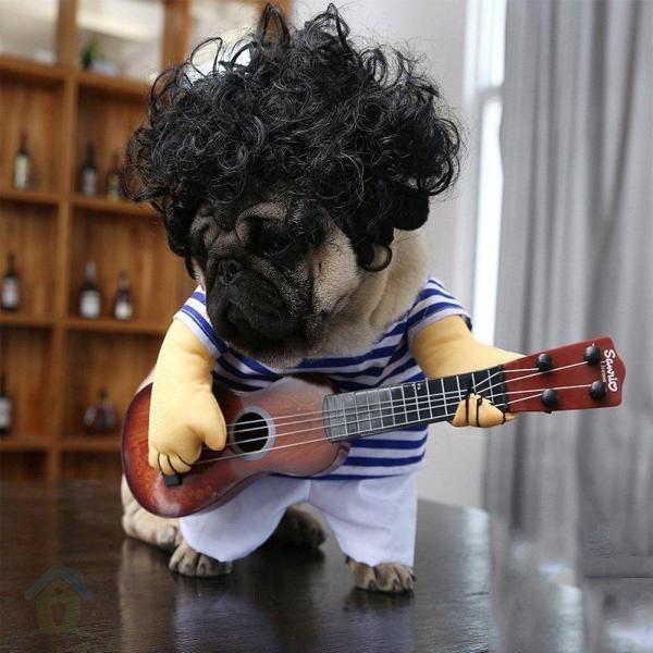 犬の服 猫の服 ハロウィンの仮装ギタリストが変な格好をしてギターの衣装を持つパグ犬がギャグでギターの服を弾く｜kostore｜11