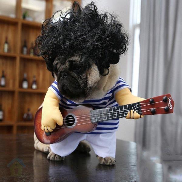 犬の服 猫の服 ハロウィンの仮装ギタリストが変な格好をしてギターの衣装を持つパグ犬がギャグでギターの服を弾く｜kostore｜03