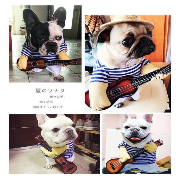 犬の服 猫の服 ハロウィンの仮装ギタリストが変な格好をしてギターの衣装を持つパグ犬がギャグでギターの服を弾く｜kostore｜07