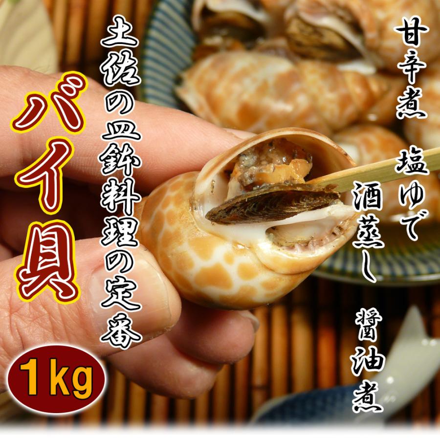 鬼*管様 貝　まとめ売り おつまみ 貝 バイ貝 1kg 高価 希少 海鮮 冷凍 食品 郷土料理 酒の