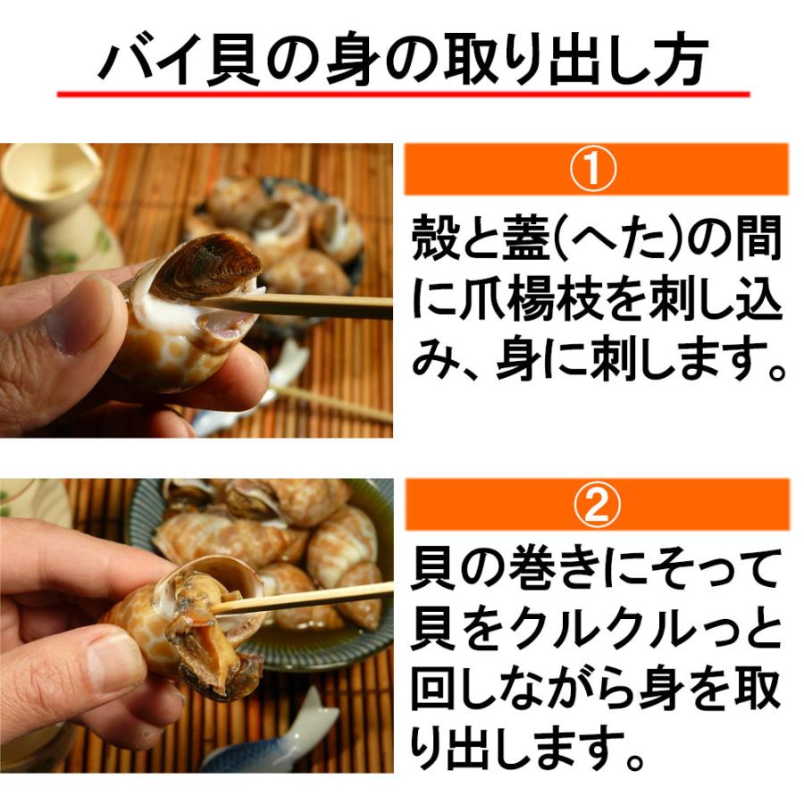 おつまみ 貝 バイ貝 １ｋｇ 生冷凍 大容量 業務用 煮つけ 塩ゆで 皿鉢料理 海鮮 食材 お酒 冬 グルメ お取り寄せ 送料無料｜kosuya｜07