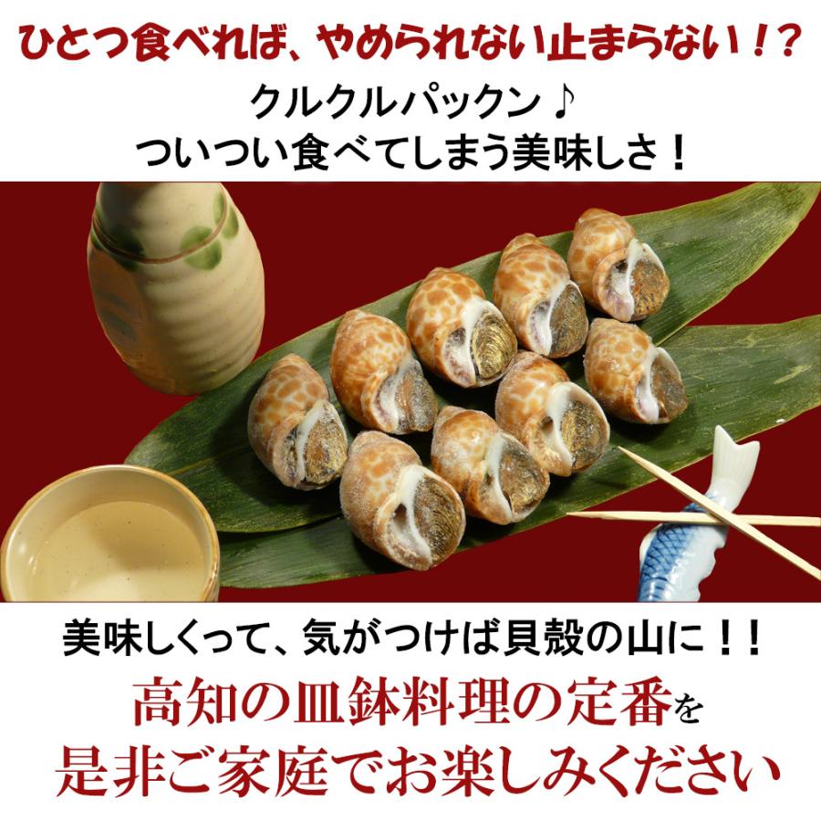 おせち 食材 ばい貝 1ｋｇ 生冷凍 高知の皿鉢料理 貝 海鮮 おつまみ 送料無料 Baigai1kg 本場高知のカツオのたたき 海鮮のkosuya 通販 Yahoo ショッピング