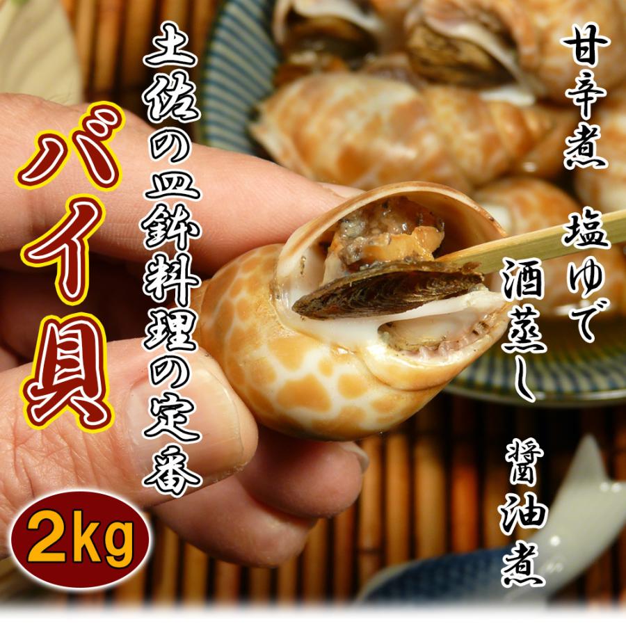 おつまみ 貝 バイ貝 2kg 生冷凍 大容量 業務用 高価 希少 海鮮 冷凍