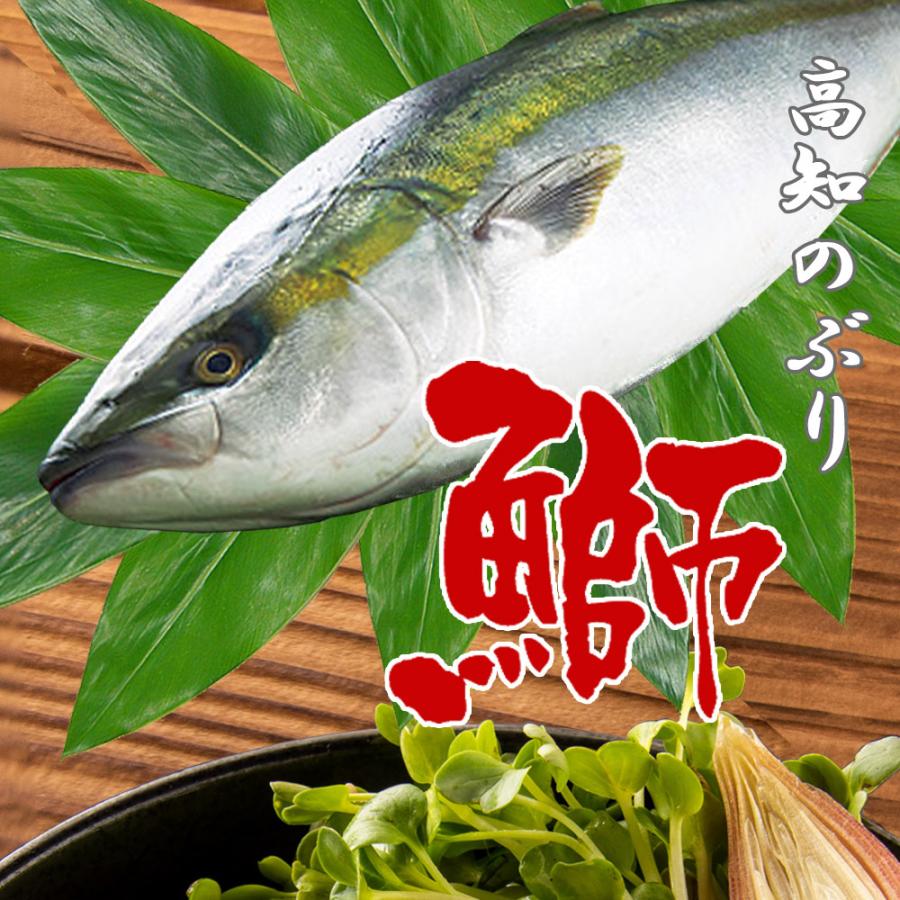 ブリの漬け丼の素 80ｇ 5ｐ 冷凍 送料無料 Buriduke Kosuya 通販 Yahoo ショッピング