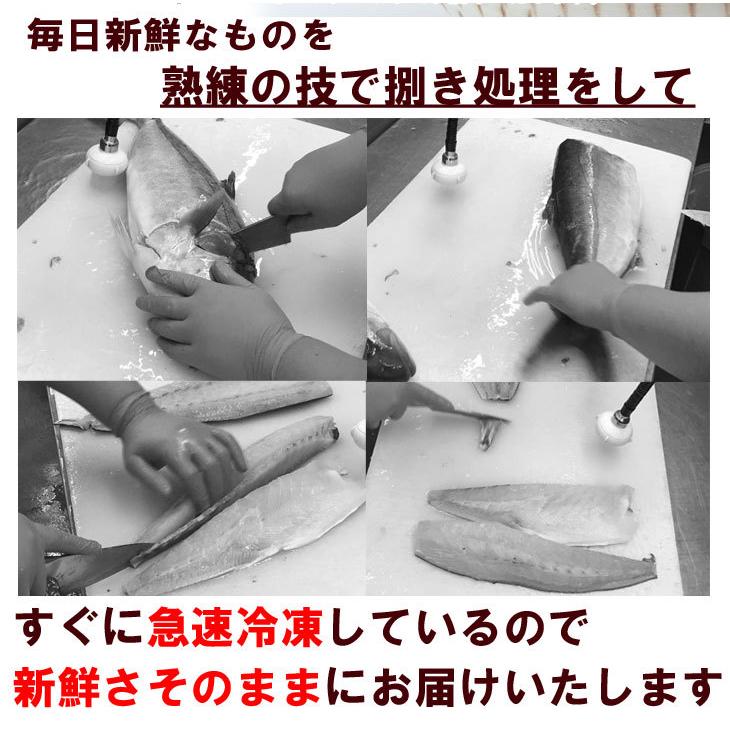 海鮮 ギフト ぶりの漬け丼の素 一人前 80ｇ×5Ｐ 鰤 海鮮丼 国産 ブリ 真空パック 冷凍 食品 高知 グルメ 海鮮 お酒 おつまみ【熨斗対応】 | ブランド登録なし | 04