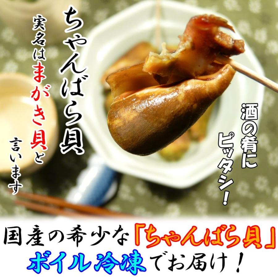 国産 チャンバラ貝 1kg ボイル 冷凍 ちゃんばら貝 巻貝 マガキガイ