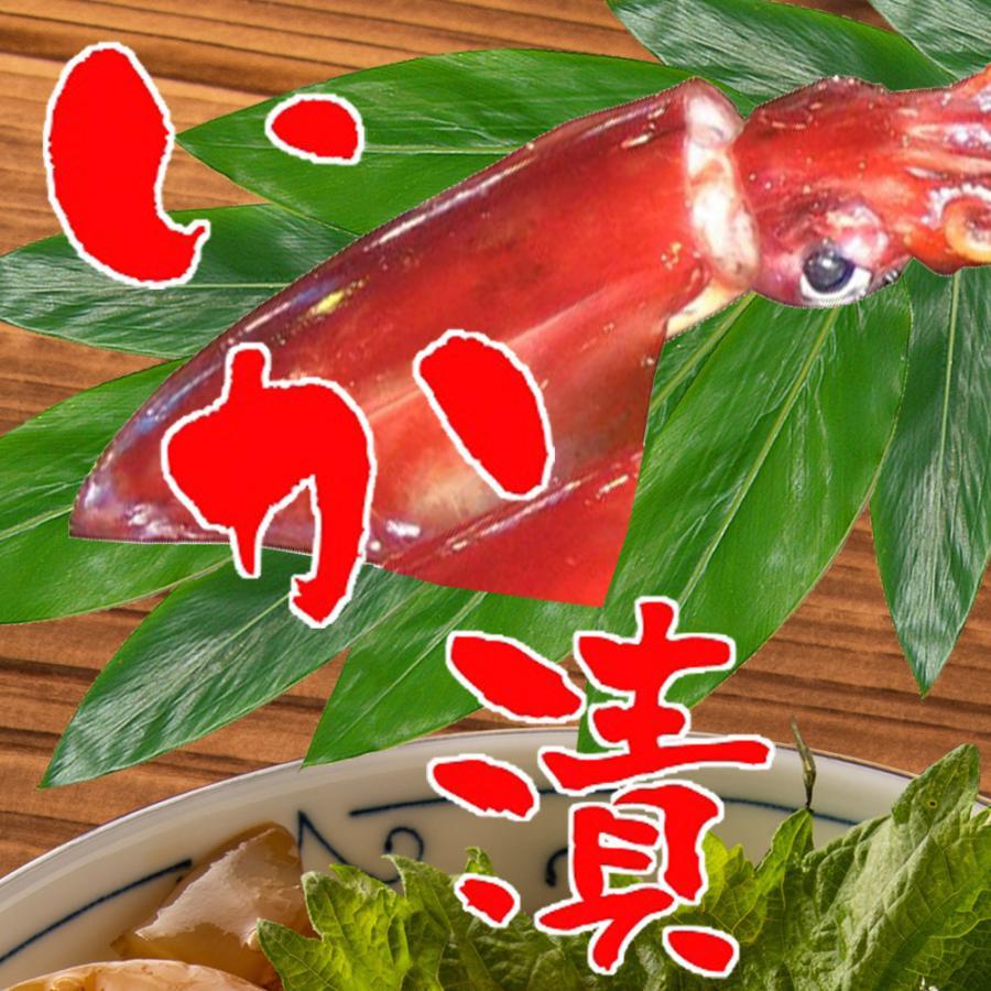 イカの漬け丼の素 80ｇ 5p 冷凍 5食 小分けパック いか 海鮮丼 簡単 便利 手軽 保存食 買い置き 海鮮 おつまみ 送料無料 Ikaduke 本場高知のカツオのたたき 海鮮のkosuya 通販 Yahoo ショッピング