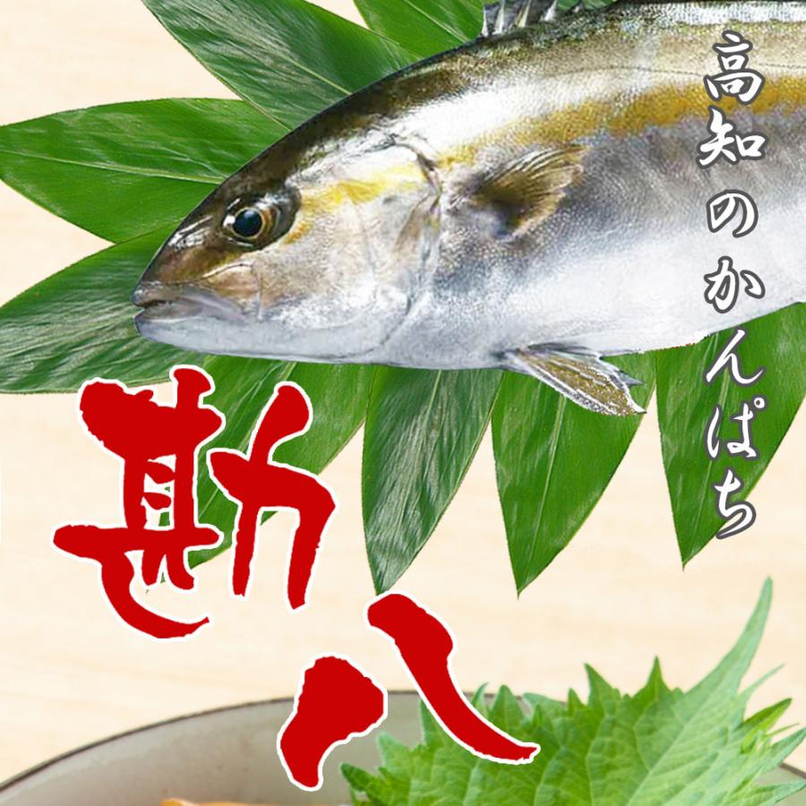 海鮮丼 かんぱち漬け丼の素 80ｇ 5ｐ レシピ付 冷凍 5食 小分けパック 高知 簡単 便利 買い置き 保存食 海鮮 おつまみ 送料無料 Kanpatiduke 本場高知のカツオのたたき 海鮮のkosuya 通販 Yahoo ショッピング
