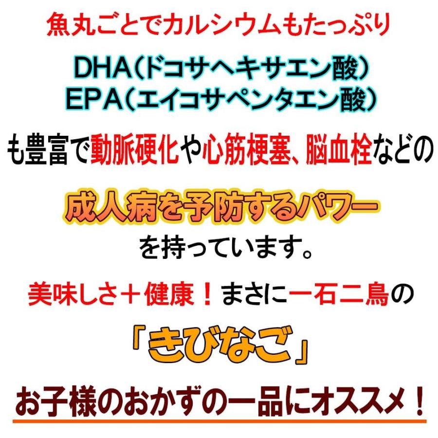 きびなご 500ｇ 冷凍 Kibinago500g Kosuya 通販 Yahoo ショッピング