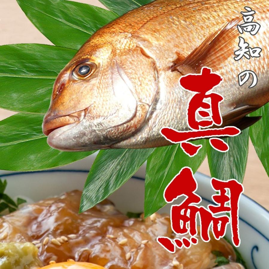 敬老の日 健康 海鮮 ギフト 真鯛 漬け丼の素 一人前 80ｇ×5Ｐ めでたい 鯛 国産 真空パック 個包装 冷凍 食品グルメ 海鮮 | ブランド登録なし | 02