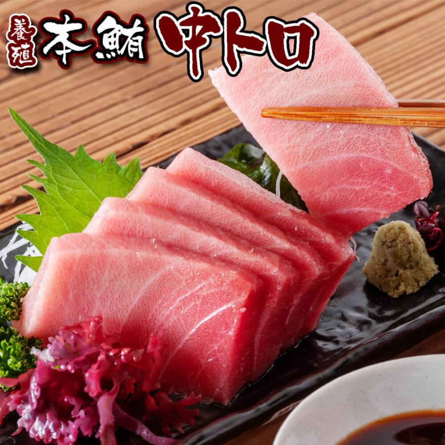 養殖 マグロ 本鮪 中トロ 1柵（約300g） 食べ物 刺身 冷凍 お取り寄せ
