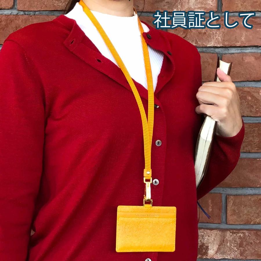 魚皮 オーシャンレザー 高知【IDパスケース】本革 ICカード ケース
