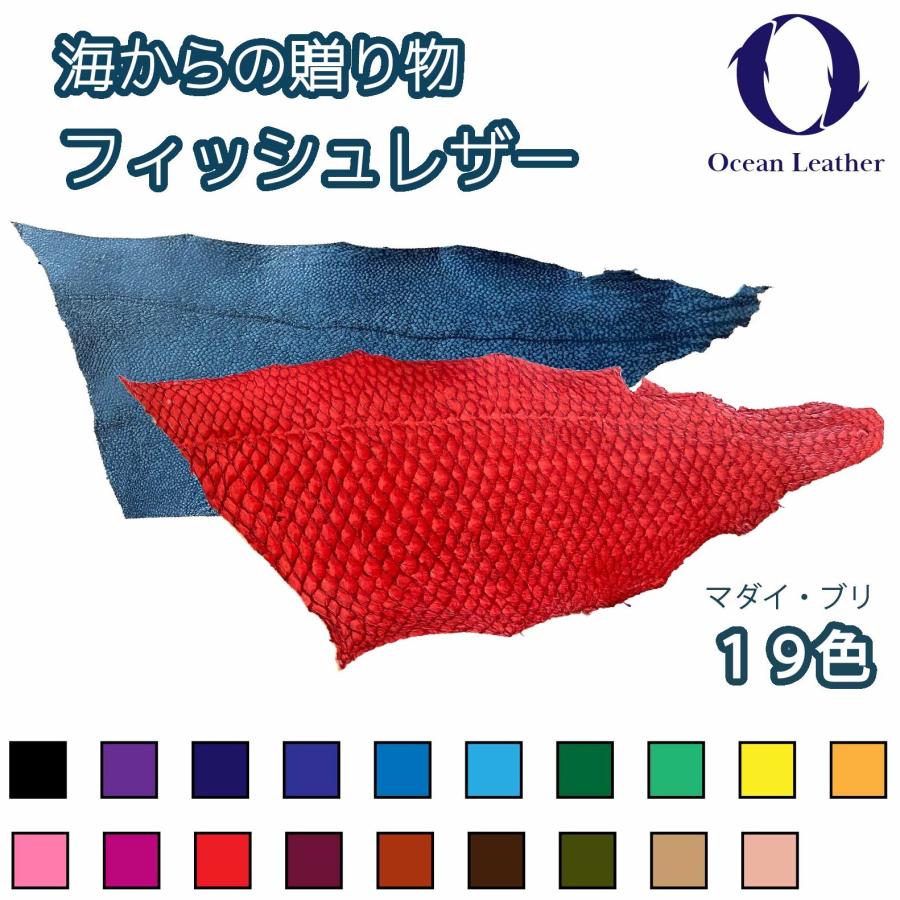 魚皮 オーシャンレザー Sサイズ 高知 送料無料 レザークラフト 
