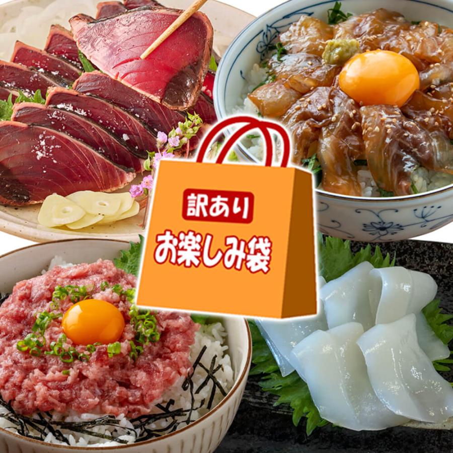訳あり 鰹のたたき 高知 お楽しみ袋 2025 食品 海鮮 詰め合わせ 福袋