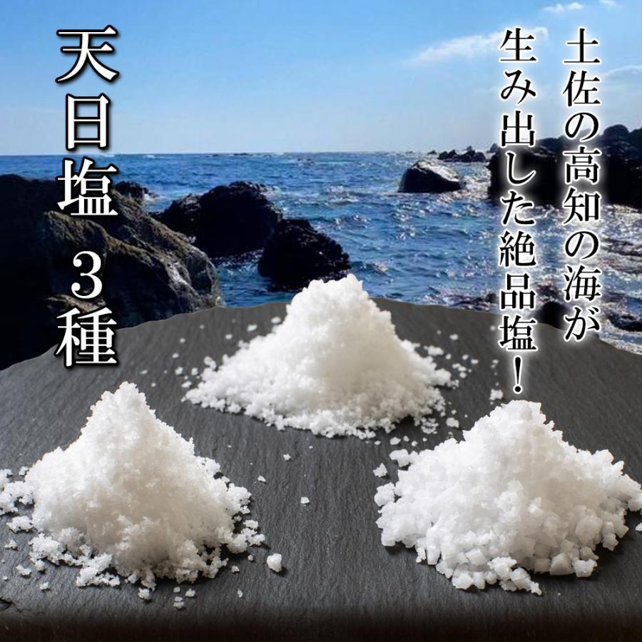 お試し 塩の食べ比べ 天日塩 国産 高知の塩 3種 食べ比べ セット 調味