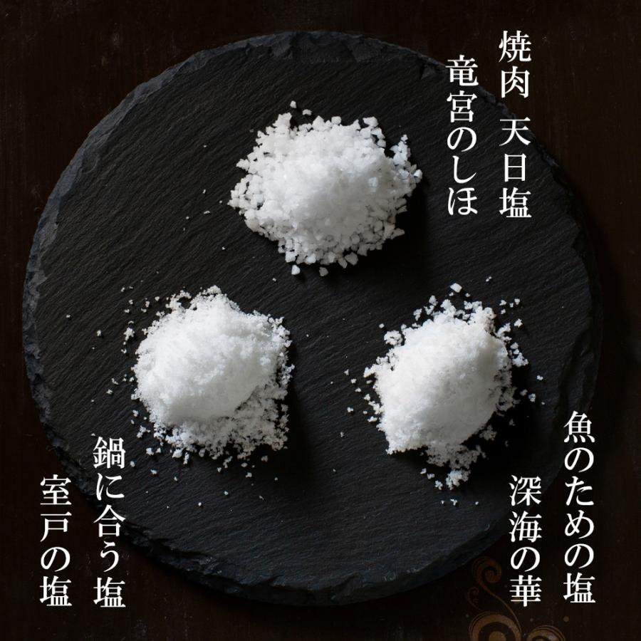 お試し 塩の食べ比べ 天日塩 国産 高知の塩 3種 食べ比べ セット 調味