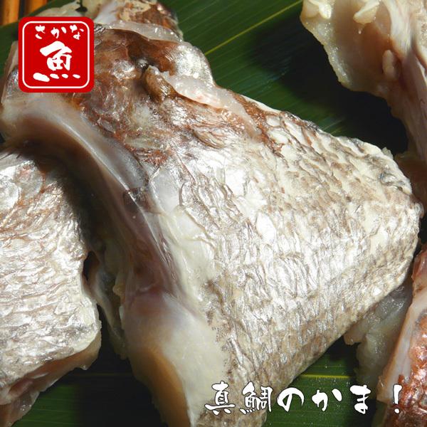 870円 殿堂 真鯛のかま 500ｇパック 4 8個入り 冷凍 海援鯛 おくいぞめ おくいはじめ 100日祝 朝ごはん 海鮮 おつまみ 送料無料