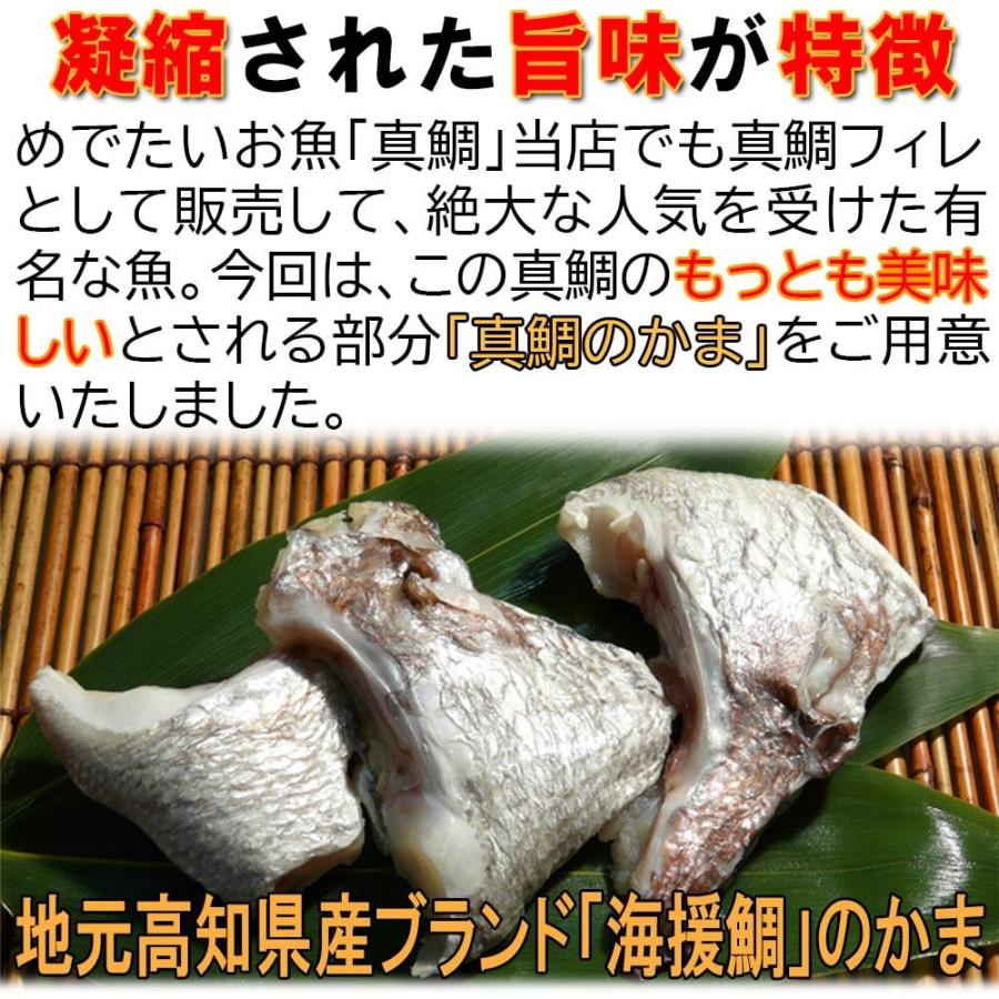 870円 殿堂 真鯛のかま 500ｇパック 4 8個入り 冷凍 海援鯛 おくいぞめ おくいはじめ 100日祝 朝ごはん 海鮮 おつまみ 送料無料