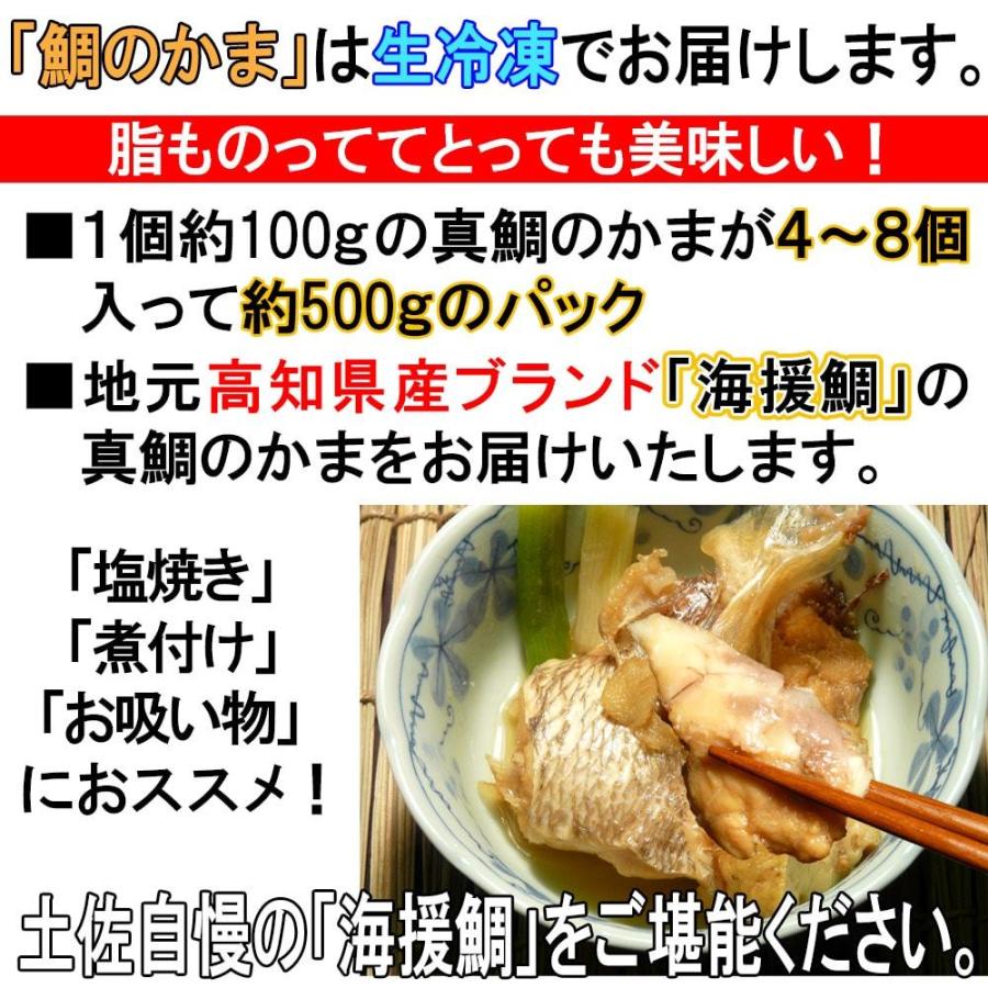 おつまみ 鯛 真鯛のかま 500ｇパック（4〜8個入り）冷凍 真鯛 カマ 海援鯛 海鮮 煮つけ 潮汁 アウトドア バーベキュー 食材 食品 送料無料｜kosuya｜06