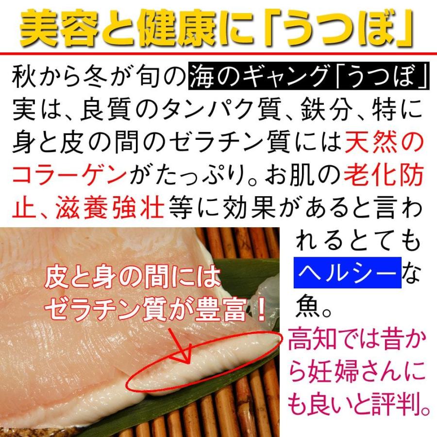 高知 特産 おつまみ ウツボ うつぼ 唐揚げ（粉付き） 400g 冷凍 食品 お取り寄せ ウツボの唐揚げ 酒の肴 珍味 揚げ物 酒の肴 定番｜kosuya｜05