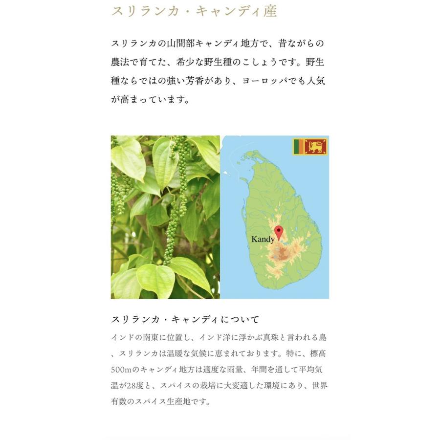 ミックスペッパーホール ラミジップ入り25ｇ マツコの知らない世界 シューイチ ラヴィット で紹介  こしょうのプロが選定最高級胡椒 当店の定番人気商品 |  | 08