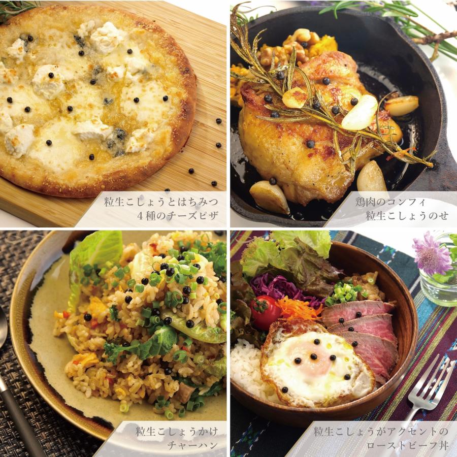 世界初・元祖粒生胡椒】粒生こしょう100g 塩漬け胡椒 ☆マツコの知ら