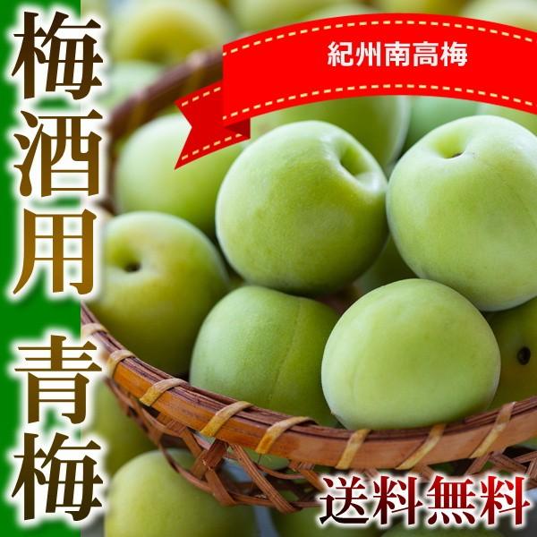 54 Off 青梅 梅酒用 南高梅 送料無料 梅酒 梅シロップ 梅ジュース 5ｋｇ