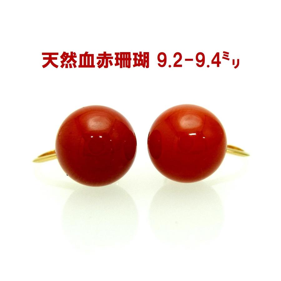 上質天然血赤珊瑚 9.2-9.4ミリ珠 イヤリング 18金枠 卸価格 商品動画  