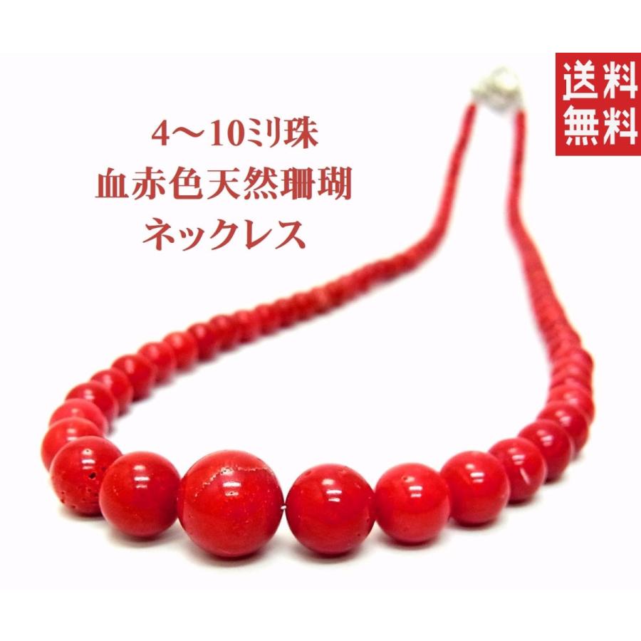 頬 剃る 出口 珊瑚 の ネックレス 値段 Francinelefebvre Com