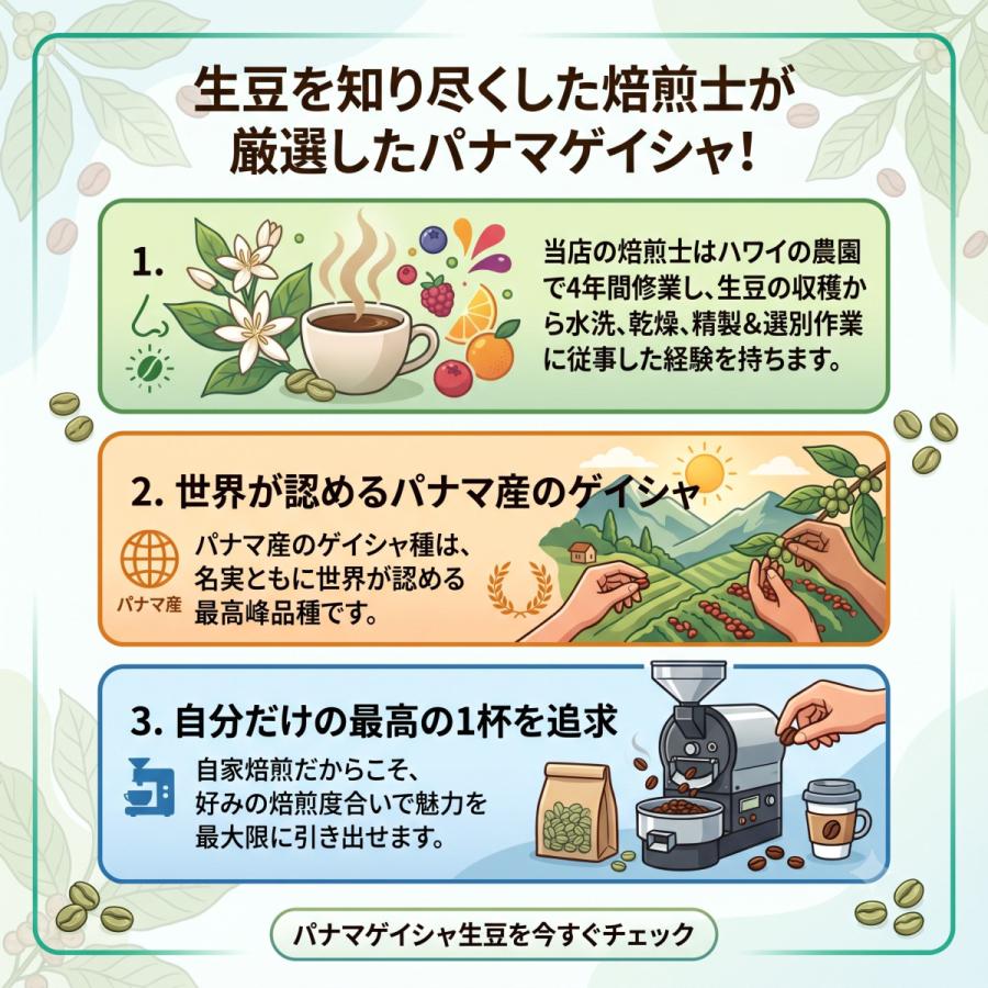 みふた様向け【パナマ現地購入】ゲイシャ 100% コーヒー/珈琲 1ポンド 珈琲生豆 パナマゲイシャ 100% プレミアムレギュラー 100g おうち