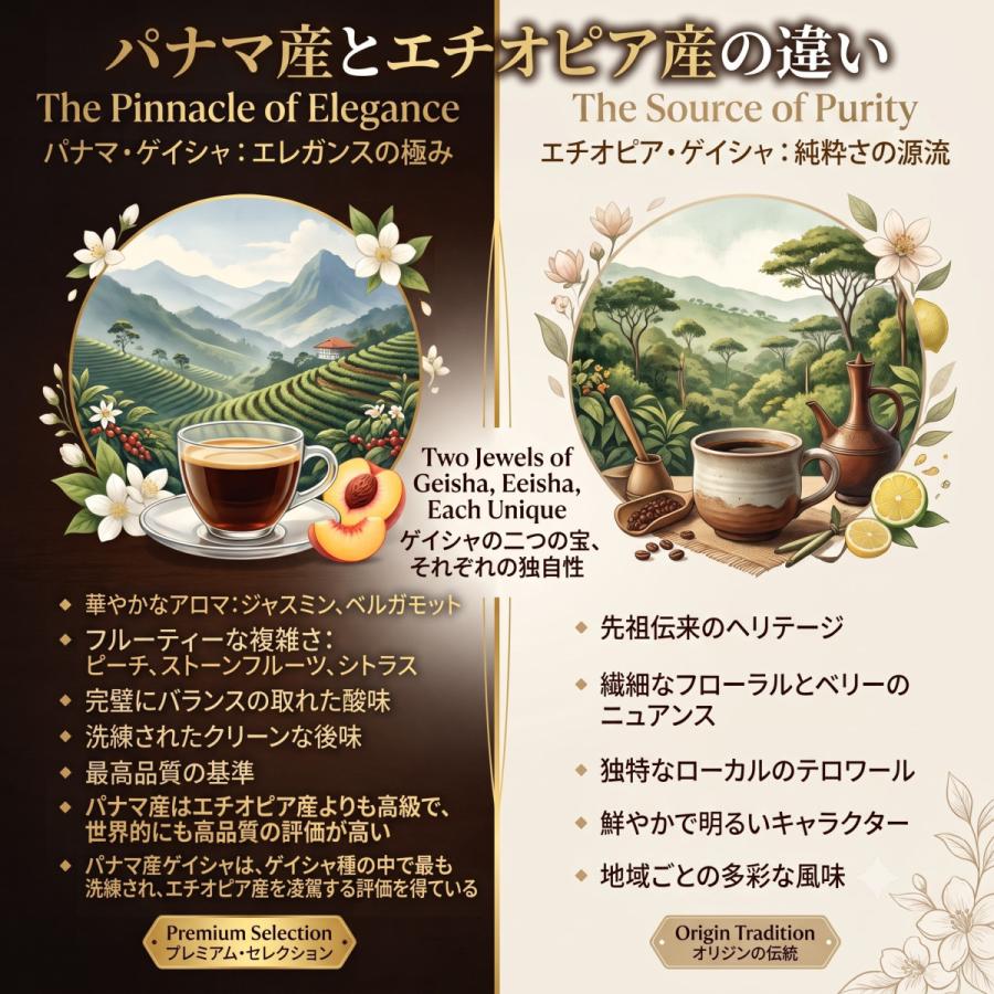 珈琲生豆 パナマゲイシャ 100% プレミアムレギュラー 100g おうち