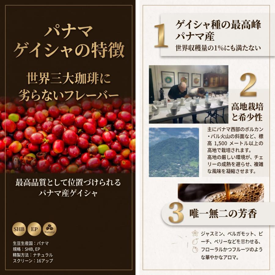 珈琲生豆 パナマゲイシャ 100% プレミアムレギュラー 100g おうち