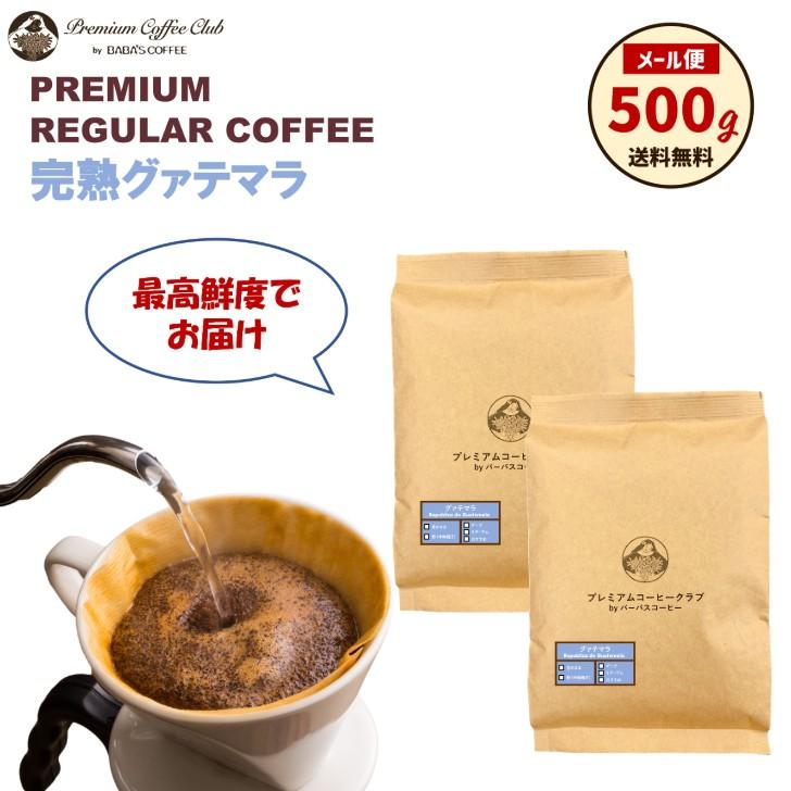 珈琲豆 焙煎豆 完熟グアテマラ 500g ( 250g x 2 ) 自家焙煎 出来立て
