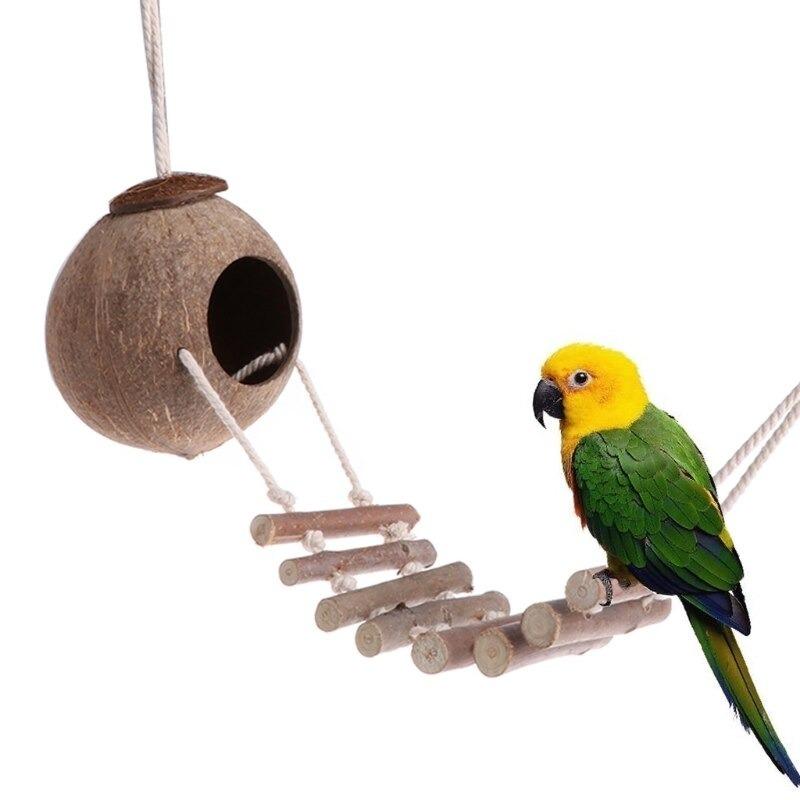 鳥 おもちゃ インコ オウム コタロウshopの鳥 咀嚼 はしご F Yo3581ならショッピング ランキングや口コミも豊富なネット通販 更にお得なpaypay残高も スマホアプリも充実で毎日どこからでも気になる商品をその場でお求めいただけます ペット用品 生き物 木製 はしご