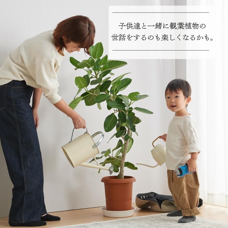 鉢カバー おしゃれ お祝い 大型 8号 北欧 レザー 観葉植物 プラントポット plantpot 布 スタンド インテリア 国産合皮レザー 日本製 鉢カバー コテラ|kotera|12