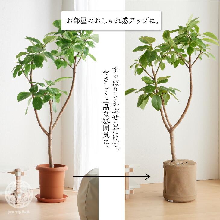 鉢カバー おしゃれ お祝い 大型 8号 北欧 レザー 観葉植物 プラントポット plantpot 布 スタンド インテリア 国産合皮レザー 日本製 鉢カバー コテラ|kotera|03