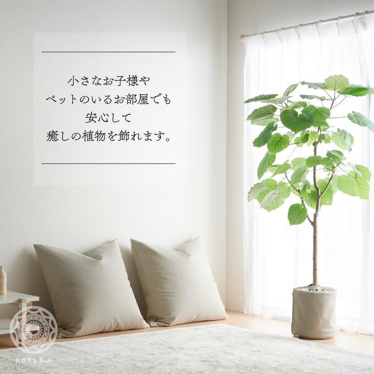 鉢カバー おしゃれ お祝い 大型 8号 北欧 レザー 観葉植物 プラントポット plantpot 布 スタンド インテリア 国産合皮レザー 日本製 鉢カバー コテラ|kotera|05