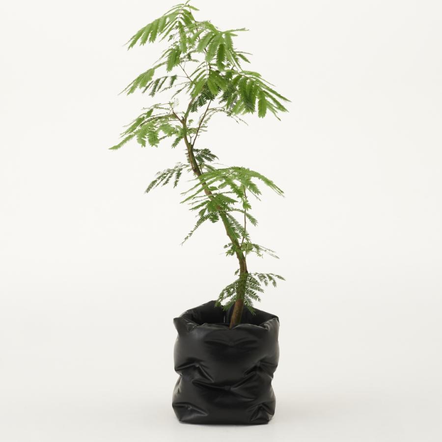 ヴァッソ 鉢 カバー 大型 おしゃれ 8号用 北欧 観葉植物 合皮レザー