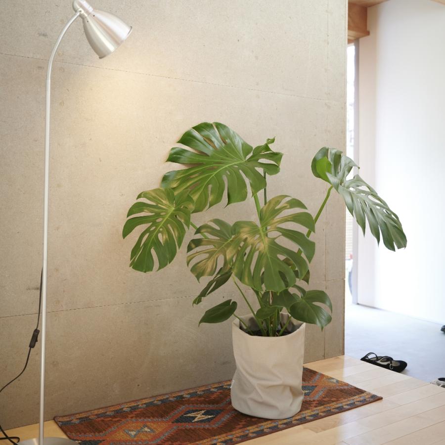 ルーズカバー 鉢 カバー 大型 おしゃれ 8号用 北欧 観葉植物 合 ルーズカバー 鉢 カバー 大型 おしゃれ 8号用 北欧 観葉植物 合
