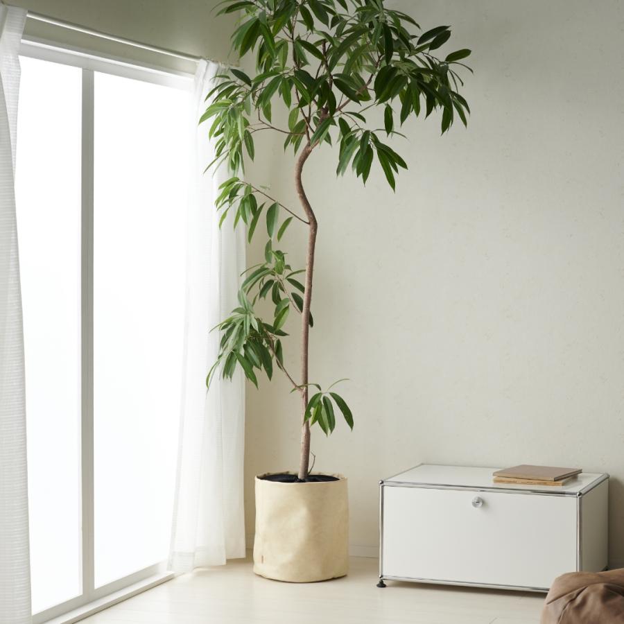 プラントカバー 鉢 カバー 大型 おしゃれ 8号 北欧 観葉植物 合 プラントカバー 鉢 カバー 大型 おしゃれ 8号 北欧 観葉植物 合