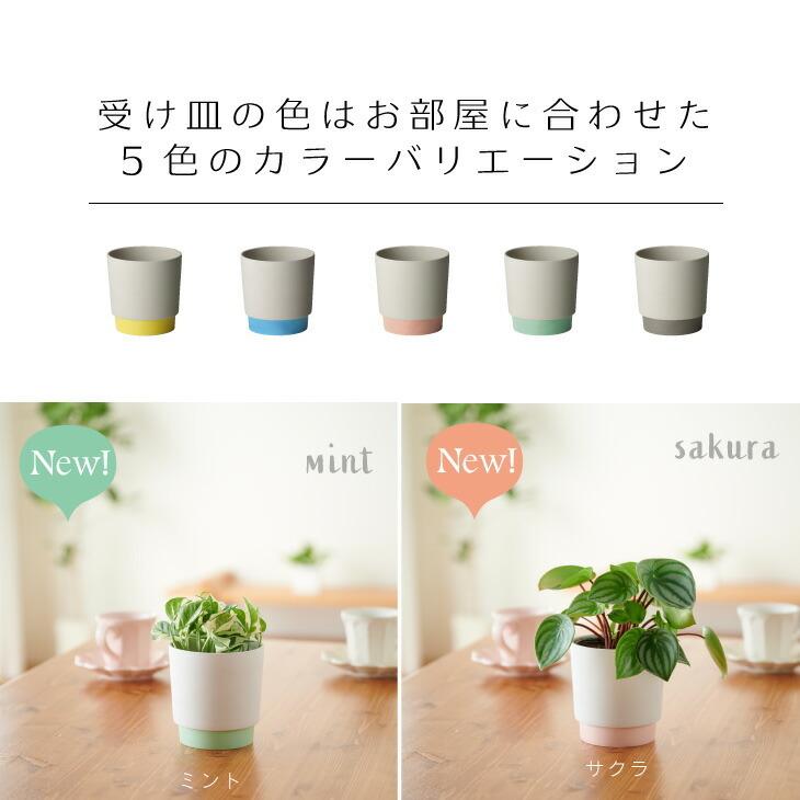 プランター 鉢 おしゃれ Ground 観葉植物 小さい 受け皿一体型 サスティナブル陶器鉢 Mサイズ インテリア 北欧 引っ越し祝 新築祝 コテラ Indiyceプラスチック製 植木鉢受け皿 5号 コーヒーブラウン ガーデニング 園芸 カ Lunarooftop Com