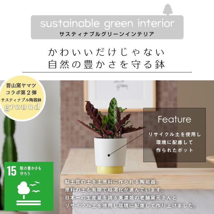 プランター 鉢 おしゃれ Ground 観葉植物 小さい 受け皿一体型 サスティナブル陶器鉢 Mサイズ インテリア 北欧 引っ越し祝 新築祝 コテラ Ktr001gd Koteraヤフー店 通販 ワインプラザマツムラ 店 60個セット 鉢皿 受け皿 12型 正方形 ライトグレー