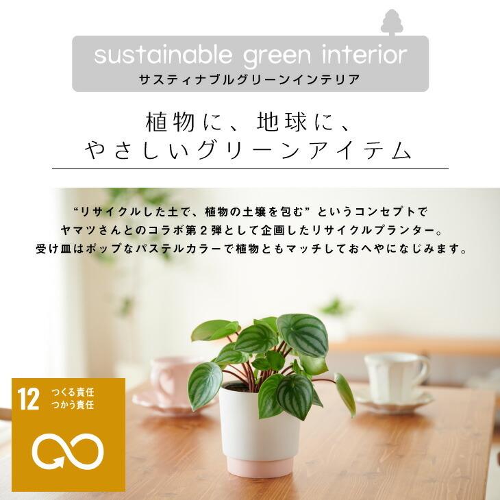 プランター 鉢 おしゃれ Ground 観葉植物 小さい 受け皿一体型 サスティナブル陶器鉢 Mサイズ インテリア 北欧 引っ越し祝 新築祝 コテラ Ktr001gd Koteraヤフー店 通販 ワインプラザマツムラ 店 60個セット 鉢皿 受け皿 12型 正方形 ライトグレー