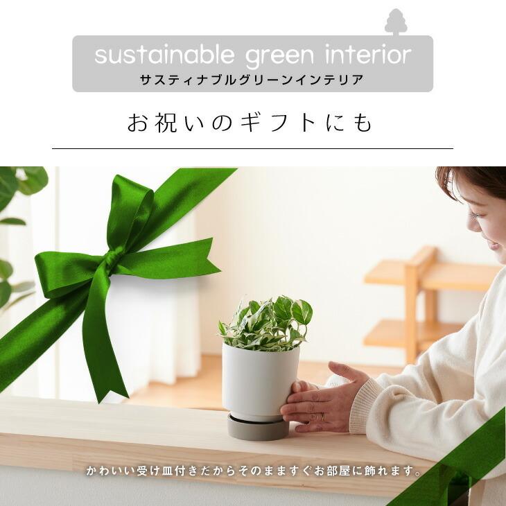 プランター 鉢 おしゃれ Ground 観葉植物 小さい 受け皿一体型 サスティナブル陶器鉢 Mサイズ インテリア 北欧 引っ越し祝 新築祝 コテラ Ktr001gd Koteraヤフー店 通販 Yahoo ショッピング